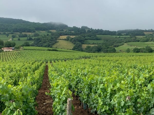 vignette-sejour2
